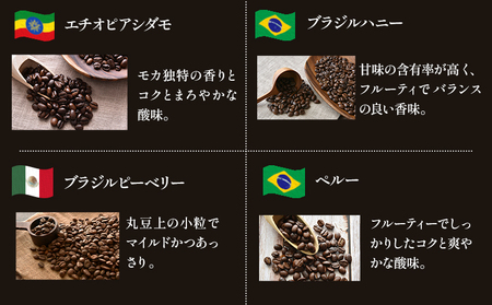 世界の 珈琲豆 10種類 飲み比べセット100g×10袋 挽 ドリップバッグ1袋 