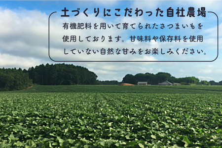DK-3　【芋屋久兵衛】〈訳あり　シロタ〉茨城県産紅はるか干しいも500ｇ×２袋