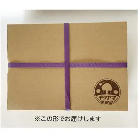 【先行受付】キタヤマ果樹園のたねなし柿　ファミリーパック(家庭用)15～20個入り(L～3L)_果物・フルーツ 柿（カキ）  かき_【1342155】