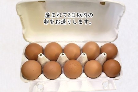 卵 30個 新鮮たまご 産卵後2日以内 10個×3箱 2L L ミックス 甘さとコクが自慢 養鶏場直送 