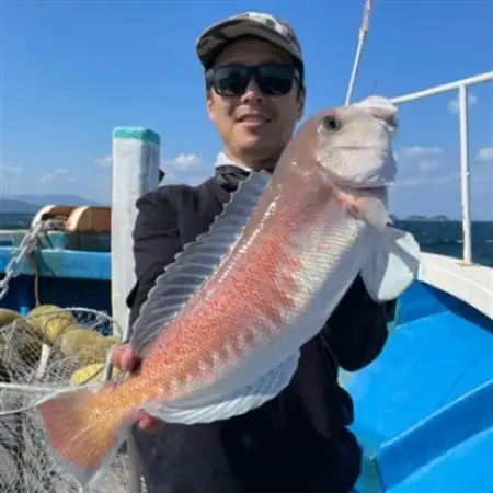 徳島清和丸 阿南沖釣り船 割引チケット_旅行券・チケット 釣り 体験チケット _【1460807】