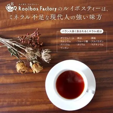 オーガニックルイボスティー グリーン 3g×80包 ティーバッグ タグ紐なし 煮出し 水出し可能_飲料・ドリンク 茶葉・ティーバッグ 紅茶 _【1470561】