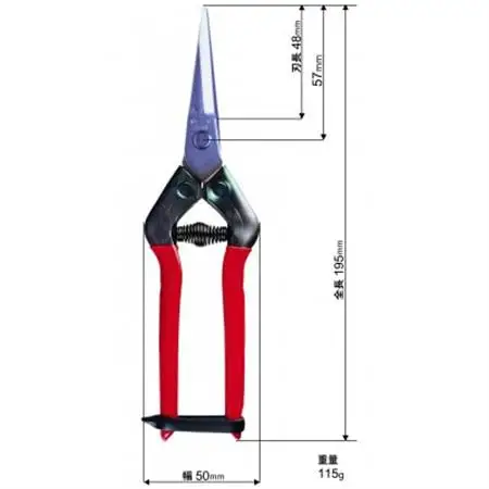 【ステンレス芽切・摘果鋏】◇近正のハサミ T-55SH_雑貨     雑貨・日用品 アウトドア用品 スポーツ・アウトドア用品 _【1492582】