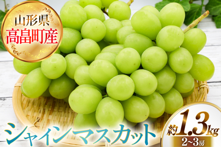 【期間限定発送】 シャインマスカット 秀 2～3房 約 1.3kg [JA山形おきたま 山形県 高畠町 tk06ays870057] 