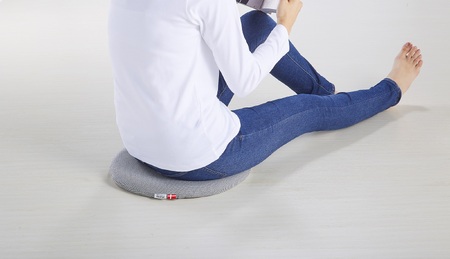 【テンピュールR】マルマルクッション（Limited Collection北欧）37-27