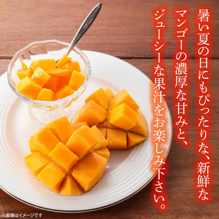 【先行予約】マンゴー 約1kg 2～3玉 益子町産 CA005