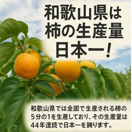 【先行受付】柳フルーツ園 干し柿セット 約2kg_果物・フルーツ 柿（カキ）  かき_【1457263】