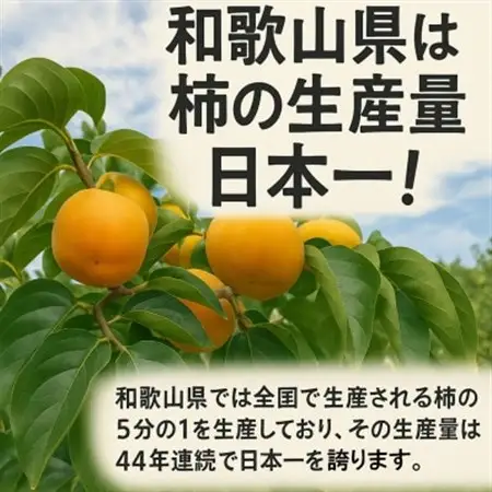 【先行受付】柳フルーツ園 干し柿セット 約5kg_果物・フルーツ 柿（カキ）  かき_【1457269】