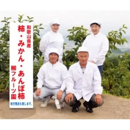 【先行受付】柳フルーツ園 干し柿セット 約7kg_果物・フルーツ 柿（カキ）  かき_【1457277】