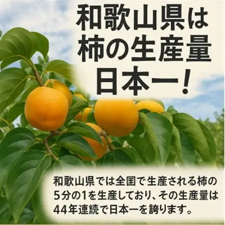 【先行受付】柳フルーツ園 干し柿セット 約10kg_果物・フルーツ 柿（カキ）  かき_【1457279】