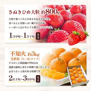綾川町のいろいろ美味しいフルーツ定期便（年10回） 