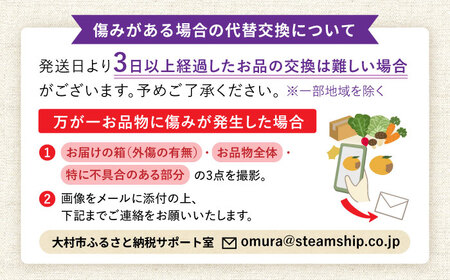 【2026年7月上旬頃より順次発送予定】生ブルーベリー 1kg（250g×4袋）/ ベリー べりー ブルーベリー ぶるーべりー 生 小分け 果物 くだもの フルーツ ふるーつ / 大村市 / おおむら夢ファームシュシュ[ACAA005]
