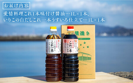 【全6回】醤油 簡単味付けセット 1L×2種 濱口醤油[XAA021]