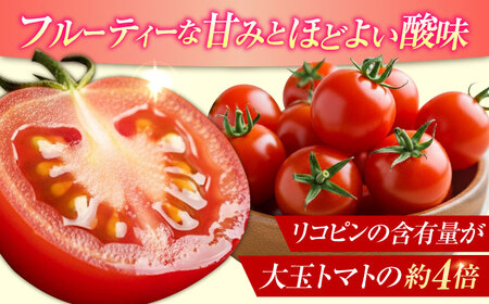 トマト 江田島ロマーノ 2kg トマト[XAB005]