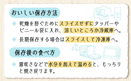 【全3回】パン詰め合わせ2・3種 パン[XAQ004]