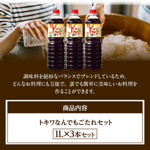 なんでもごたれセット 1L×3本 16-20