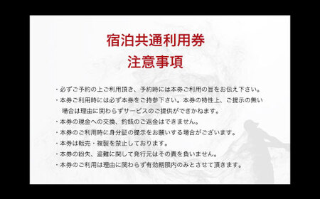 【山武市内】宿泊施設利用券30枚 SMBJ027／ 宿泊 宿泊利用券 利用券 チケット 宿泊施設 施設利用券 千葉県 山武市