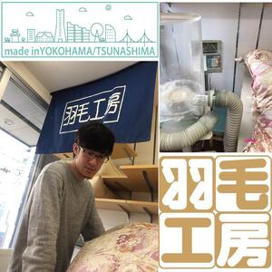 羽毛掛ふとん（シングルサイズ）・ブルー系 AAC0002VC02