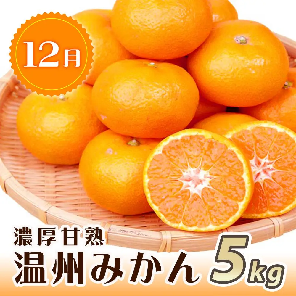 紀州和歌山産旬のフルーツセット（桃・平核無柿・みかん）【UT60】