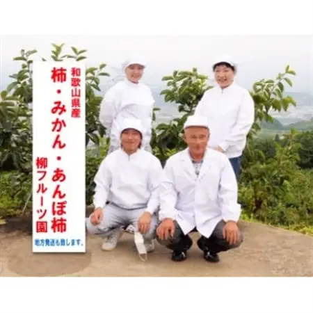 柿【先行受付】柳フルーツ園 富有柿 約2kg_果物・フルーツ 柿（カキ）  かき_【配送不可地域：離島】【1456563】