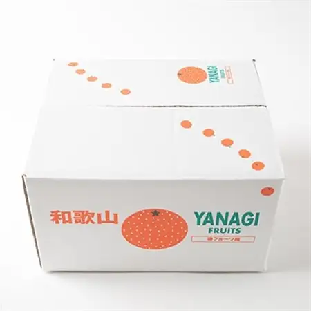柿【先行受付】柳フルーツ園(訳あり)富有柿 約5kg_果物・フルーツ 柿（カキ）  かき_【1456567】