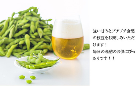 《大容量10kg》宮崎県産えだまめ コスパ最強と話題の業務用枝豆 TF0576 -P00019