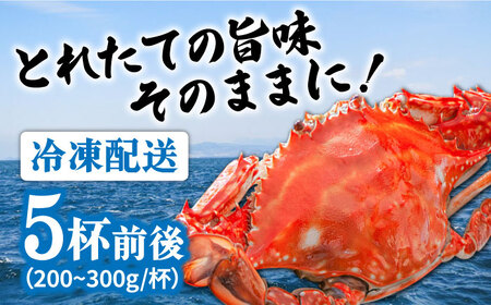 【2026年7月-発送】有明海のワタリガニ 200g-300g 長栄丸水産 [SFM001] ワタリガニ