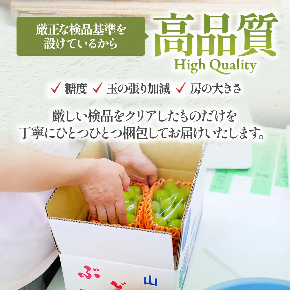 【2026年分発送】 シャインマスカット 2～3房 1kg以上 山梨シャインマスカット