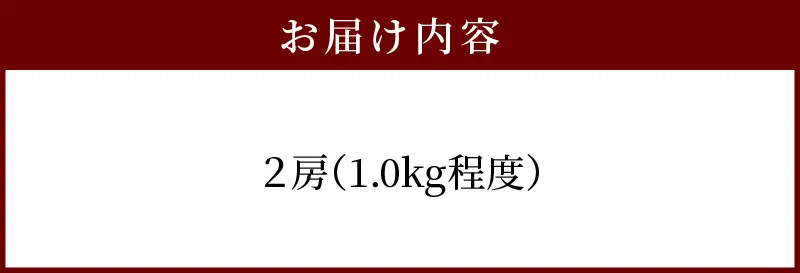 【数量限定】甘くてジューシー産直　旬のぶどう竜宝　2房 （約1.0kg）フルーツ 葡萄 先行予約 産直 DL-0003