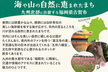 返礼品なし 福岡県古賀市応援寄附金 ( 1,000円単位でご寄附いただけます) 古賀市 寄附
