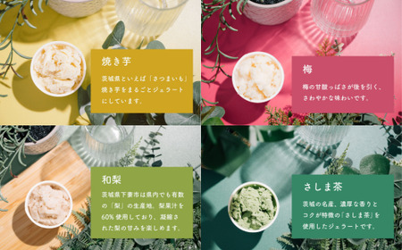 ジェラート 12個 アイス 詰め合わせ ジェラート