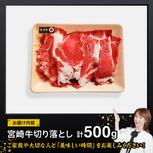 宮崎 牛切り落とし 500g【 肉 牛肉 国産 宮崎県産 黒毛和牛 和牛 】