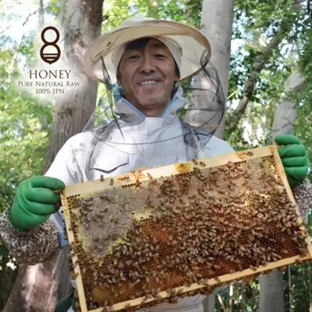 早春の初搾りとクロガネモチ(はちみつ)各300g_調味料 はちみつ  ハチミツ 蜂蜜_【1419382】