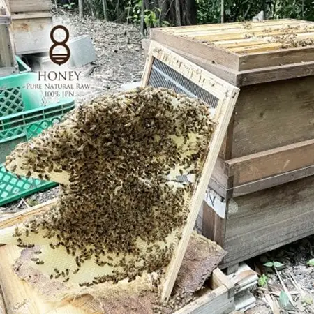 珠玉の百花(はちみつ)300g×2本_調味料 はちみつ  ハチミツ 蜂蜜_【1419520】