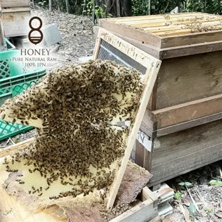 珠玉の百花(はちみつ)180g×2本_調味料 はちみつ  ハチミツ 蜂蜜_【1419556】
