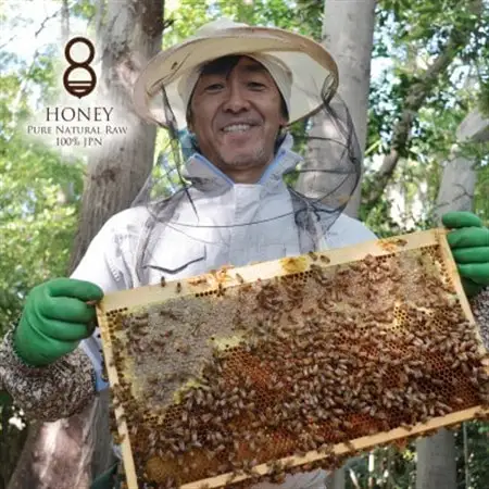 早春の初搾りとクロガネモチ(はちみつ)各180g_調味料 はちみつ  ハチミツ 蜂蜜_【1419617】