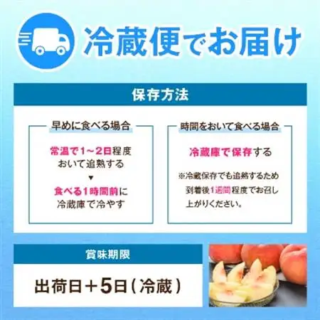 【2026年発送】JA中野市直送　糖度センサー選別糖度13度以上『桃』2.1kg以上(6～8玉)【配送不可地域：離島】【1482187】