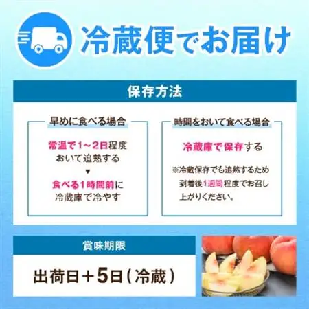 【2026年発送】JA中野市直送!ご家庭用　訳あり『桃』2.1kg以上(6～8玉)【配送不可地域：離島】【1482682】