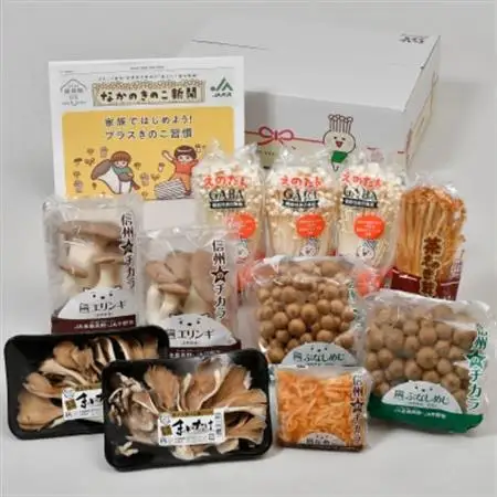JA中野市産地直送!6種11パック入りきのこセット【中野市特産きのこセットできのこ食を習慣に】【配送不可地域：離島】【1487473】