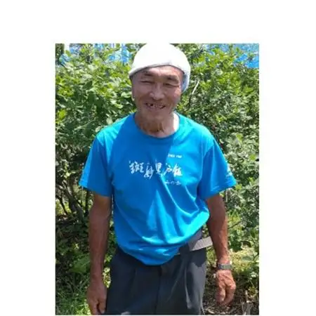 信州　中野市産特選ブルーベリー　バラ詰め3kg箱【配送不可地域：離島】【1494241】