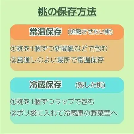 黄金桃 約3kg(8～12玉)【配送不可地域：離島】【1495414】