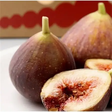 【先行受付】福岡限定!ブランドいちじく「とよみつひめ」約300g×4パック(大野城市)_果物・フルーツ   くだもの_【配送不可地域：離島・北海道・沖縄県・東北】【1083967】