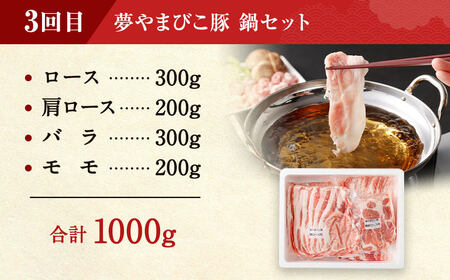 【定期便】「夢やまびこ豚」鍋セット 焼肉セット 各2回 | 豚肉 お肉 しゃぶしゃぶ 焼肉 冷蔵 幸田町 国産 送料無料