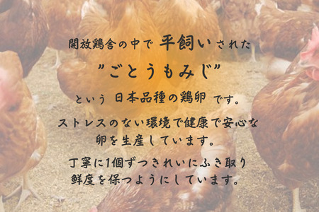 北海道 鶴居村産　卵らんハウスの心届ける　こだわり派のコッコロたまご