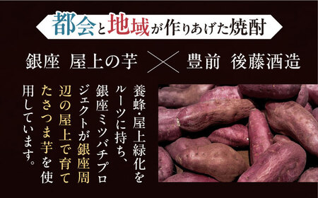 【全3回定期便】芋焼酎 銀座芋人 4合 720ml（25度）[VDA012] 焼酎 定期便