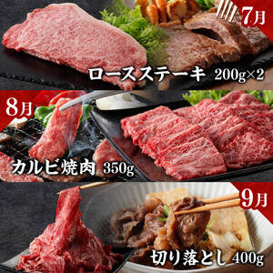 【定期便】宮崎牛　匠の堪能セット 12か月定期便 【 肉 牛肉 国産 黒毛和牛 宮崎牛 全12回 焼肉 しゃぶしゃぶ 焼きしゃぶ BBQ 宮崎県 川南町 】