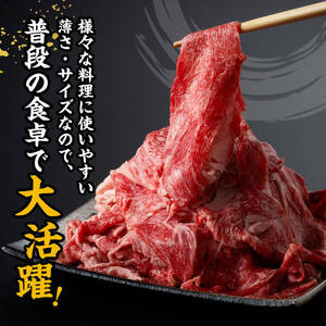 宮崎牛カルビ焼肉・切り落としセット合計800ｇ 【 肉 牛肉 国産 黒毛和牛 宮崎牛 焼肉 宮崎県 川南町 】