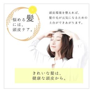 柚子とお米で感じるほのかな和　栃木の柚子　シャンプー&トリートメント　ギフトセット ns047-004