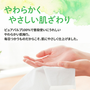 定期便 3ヵ月連続お届け エリエール ハーフサイズ 収納に便利 コンパクト 少量6パック i:na 北海道 ティシュー 150組 5箱 6パック 計30箱 イーナ ティッシュペーパー 防災 常備品 備蓄品 消耗品 日用品