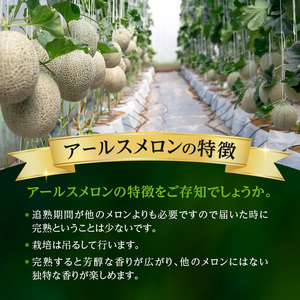 メロン 赤肉 青肉 2玉 食べ比べ セット 詰め合わせ 芦別メロン 計2.8kg以上 北海道 芦別市 アールスメロン 果物 果物類 フルーツ デザート 高級 至福 濃厚 甘い 豊かな香り 食べ方ガイド